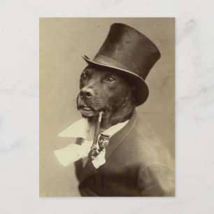Funny  Foto van Dog in Top Hat Briefkaart
