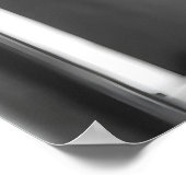 Funny Fox Bathroom Print, Reading Newspaper Poster (Hoek)