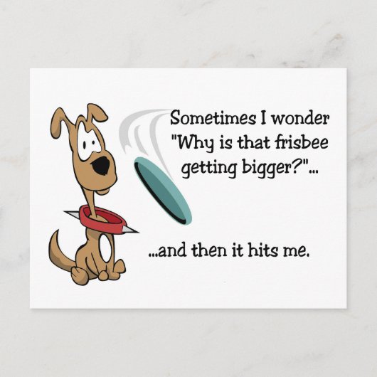 Funny Frisbee Carte postale (Devant)