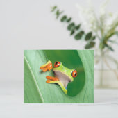 Funny Frog Briefkaart (Staand voorkant)