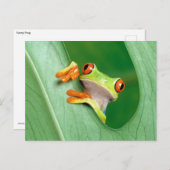 Funny Frog Briefkaart (Voorkant / Achterkant)