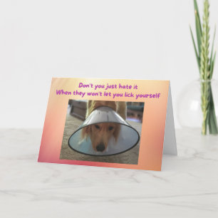 Funny Get Well Card Dog in Cone Kaart