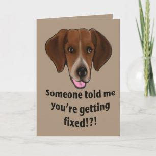 Funny Get well card for dogs Kaart