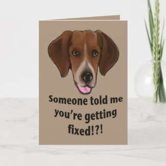 Funny Get well card for dogs Kaart