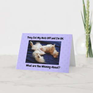 Funny Get Well Card Golden Retriever die weg is Kaart