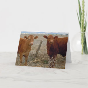 Funny Get Well - Red Koe Animal Humor - Ranch Kaart