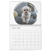 Funny Gift-Crapping Dog Kalender (Jan 2026)