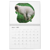 Funny Gift-Crapping Dog Kalender (Mar 2027)