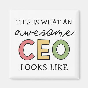 Funny Gifts voor CEO Geweldige CEO Boss Gifts Magneet