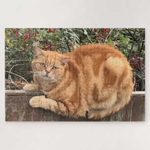 Funny Ginger Cat on Fence Sideways on Legpuzzel