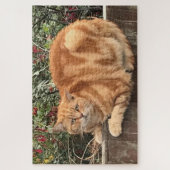 Funny Ginger Cat on Fence Sideways on Legpuzzel (Verticaal)