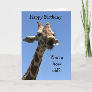 Funny  Giraffe Birthday Card Kaart