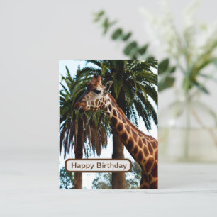 Funny Giraffe die een frambozen geeft, Briefkaart