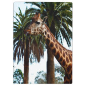 Funny Giraffe die een frambozen geeft, Klembord (Achterkant)