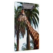 Funny Giraffe die een frambozen geeft, Klembord (Rechts)