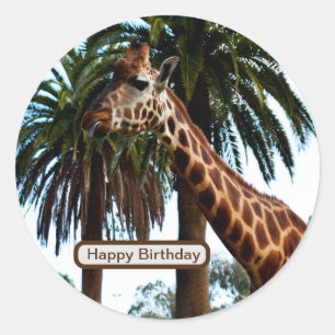 Funny Giraffe die een frambozen geeft, Ronde Sticker