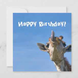 Funny Giraffe Happy Birthday Kaart