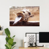 FUNNY GIRAFFE POSTERS - BUITEN AFRIKA - PRINTS (Thuiskantoor)