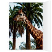 Funny Giraffe Raspberry, Birthday Kaart (Binnen (Links))