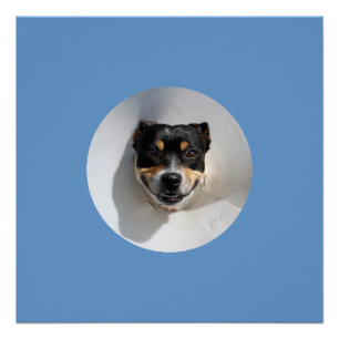 Funny glimlachen poster perfect poster