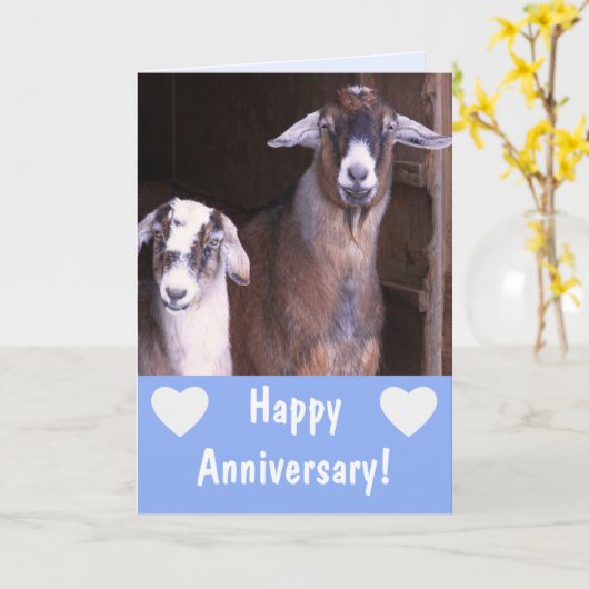 Funny Goat Jubileum Kaart (Gele Bloem)