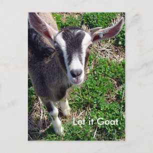 Funny Goat Parody Briefkaart