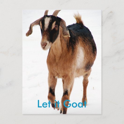 Funny Goat Parody Briefkaart (Voorkant)