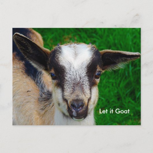Funny Goat Parody Briefkaart (Voorkant)