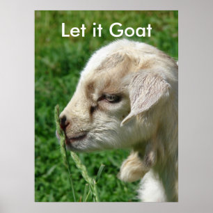 Funny Goat Parody, Cute Goat Kind Poster