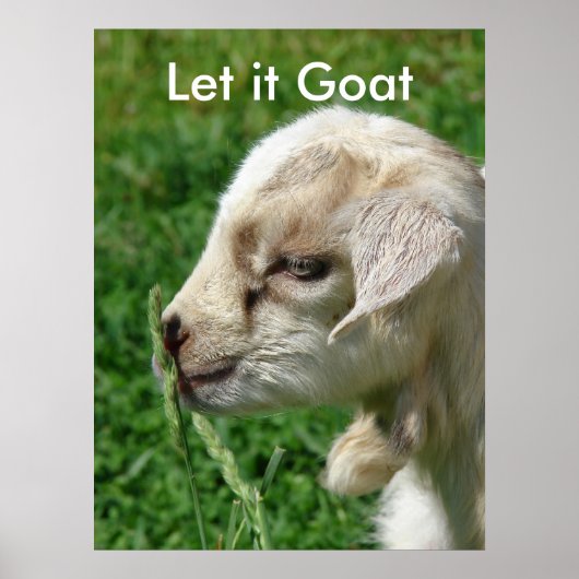 Funny Goat Parody, Cute Goat Kind Poster (Voorkant)