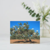 Funny Goats in Trees Briefkaart (Staand voorkant)