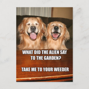 Funny Golden Retriever Alien Joke Meme Briefkaart