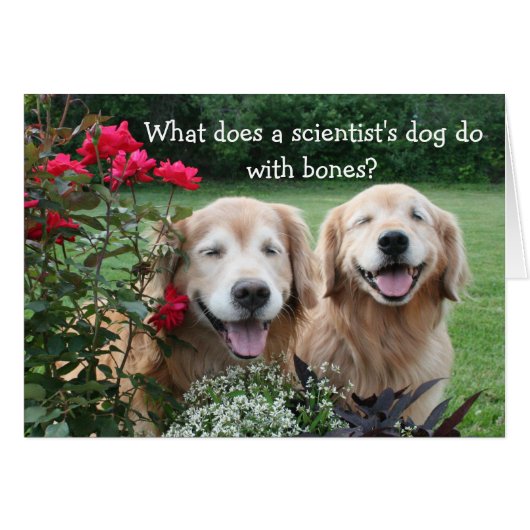 Funny Golden Retriever Barium Scientifique Plaisan (Devant horizontal)