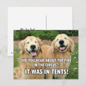 Funny Golden Retriever Circus Fire Joke Briefkaart (Voorkant / Achterkant)