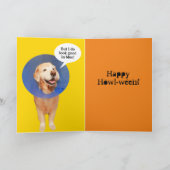 Funny Golden Retriever Halloween Cone of Shame Kaart (Binnen)