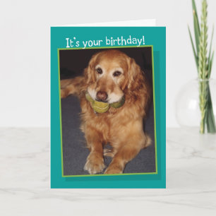 Funny Golden Retriever met Balls Birthday Kaart