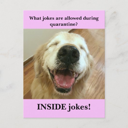 Funny Golden Retriever Quarantine Joke Meme Briefkaart (Voorkant)