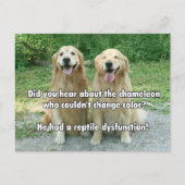 Funny Golden Retriever Reptile Dysfunction Joke Briefkaart (Voorkant)