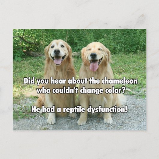 Funny Golden Retriever Reptile Dysfunction Joke Briefkaart (Voorkant)