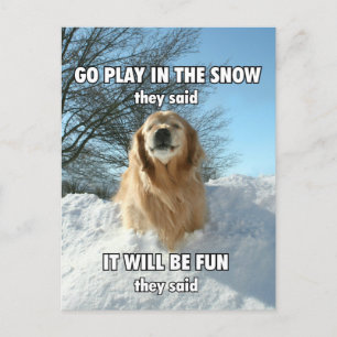 Funny Golden Retriever speelt in Sneeuwthema Briefkaart