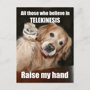Funny Golden Retriever Telekinesis Joke Briefkaart