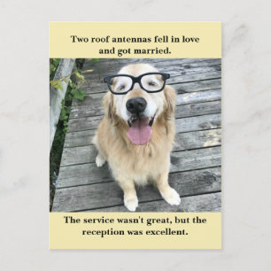 Funny Golden Retriever Wedding Reception Joke Meme Aankondigingskaart