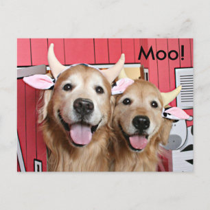 Funny Golden Retrievers van Cow Costumes Halloween Briefkaart