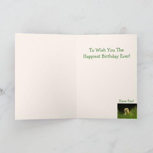 Funny Goose Joke Birthday Kaart (Binnen)