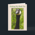 Funny Goose Joke Carte d'anniversaire<br><div class="desc">Jolie photo d'une oie du Canada contre un arrière - plan vert verdoyant. A l'intérieur,  il y a une photo d'un gosling à ajouter à la fête d'anniversaire. Personnalisez les messages et faites votre propre salutation amusante. Photos ©Christine Greenspan.</div>