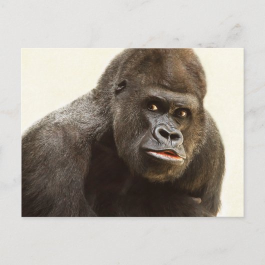 Funny Gorilla briefkaart (Voorkant)