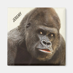 Funny Gorilla, douanenaam magnet Magneet