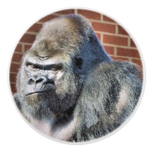 FUNNY GORILLA KERAMISCHE KNOP