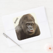 Funny Gorilla-stickers Vierkante Sticker (Envelop)