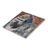 FUNNY GORILLA TEGELTJE (Zijkant)